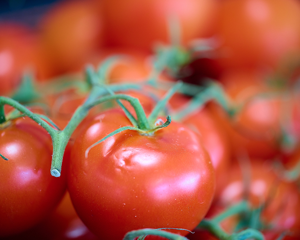 Fraic'Heure !, tomates fraiches à Vitré